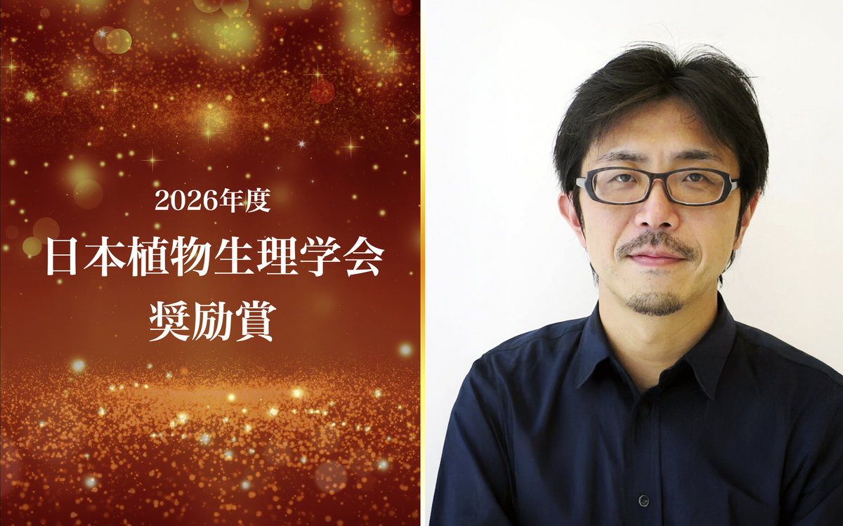 高橋洋平特任准教授が2026年度日本植物生理学会奨励賞を受賞しました